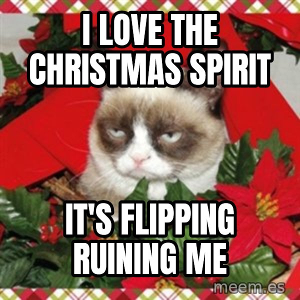 Grumpy Christmas Cat meme: i love the christmas spirit / it's flipping ruining me