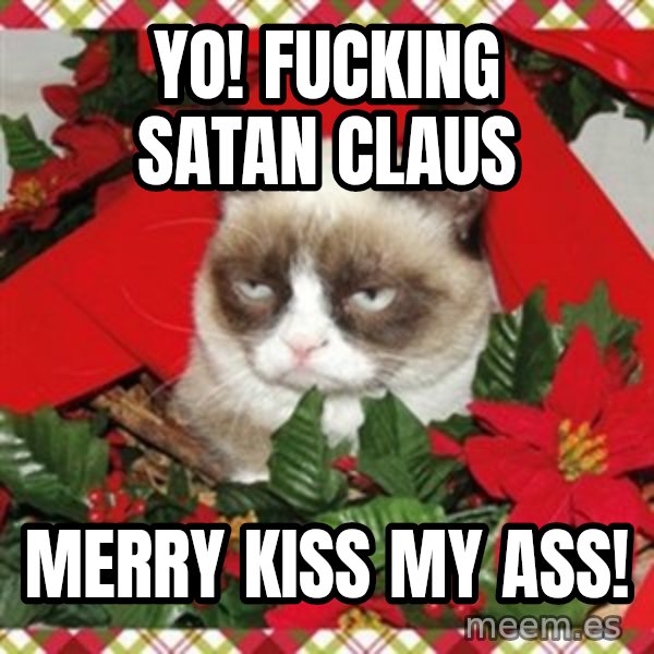 Grumpy Christmas Cat meme: Yo! fucking Satan Claus / Merry kiss my ass!