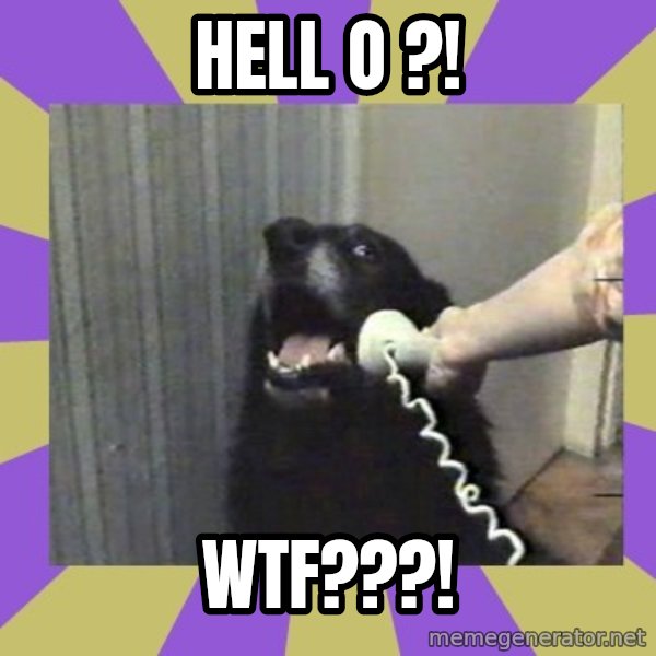 Yes, this is dog! meme: Hell o ?! / WTF???!