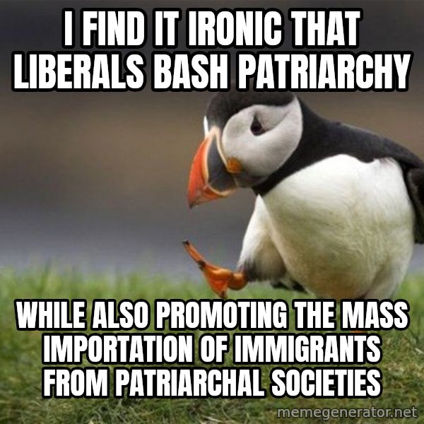 Unpopular Opinion Puffin meme: I find it ironic that liberals bash patriarchy / While also promoting the mass importation of immigrants from patriarchal societies