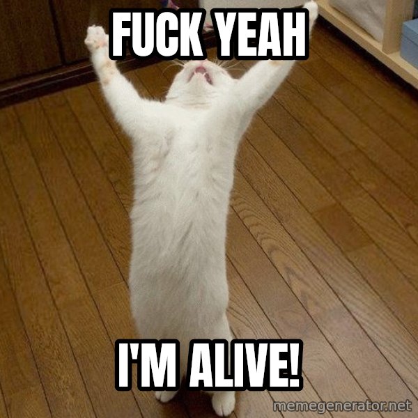 praise the lord cat meme: Fuck yeah / I'm alive!
