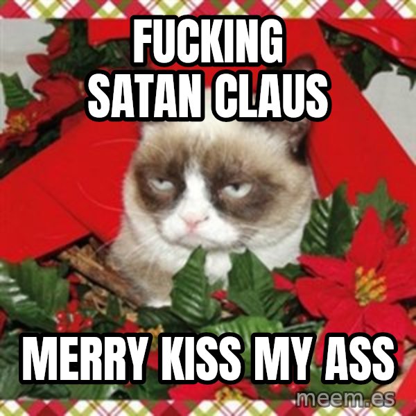 Grumpy Christmas Cat meme: Fucking Satan Claus / Merry kiss my ass