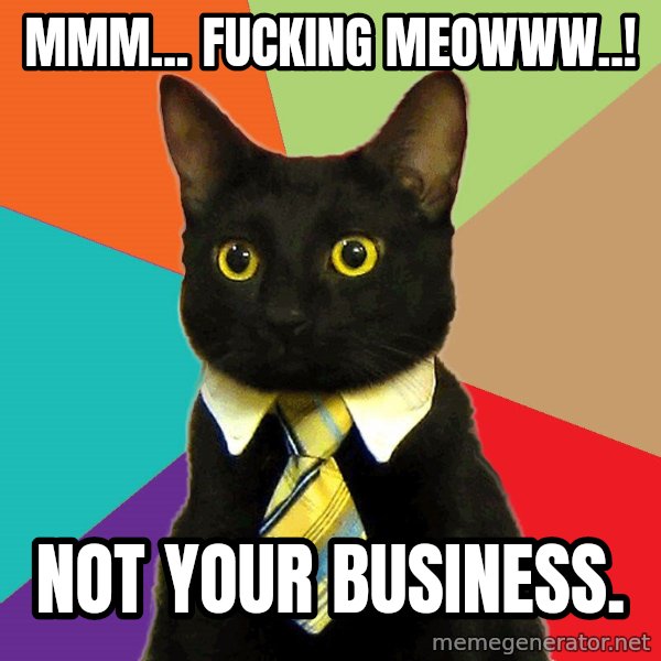 Business Cat meme: Mmm... fucking meowww..! / Not your business.