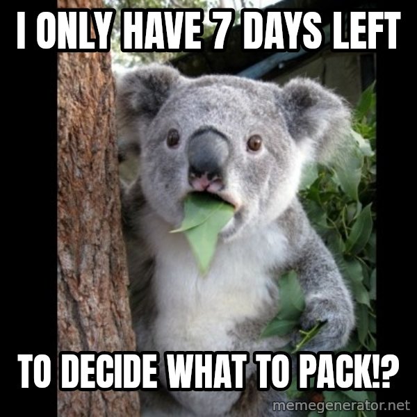 Koala can't believe it meme: I only have 7 days left / to decide what to pack!?