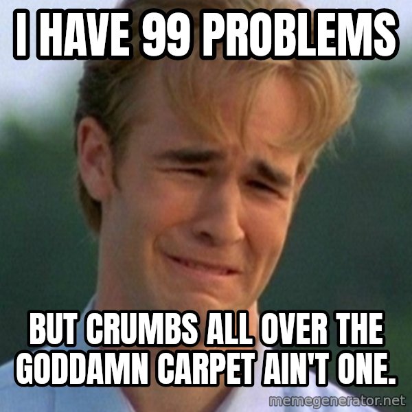 90s Problems meme: I HAVE 99 PROBLEMS / BUT CRUMBS ALL OVER THE GODDAMN CARPET AIN'T ONE.