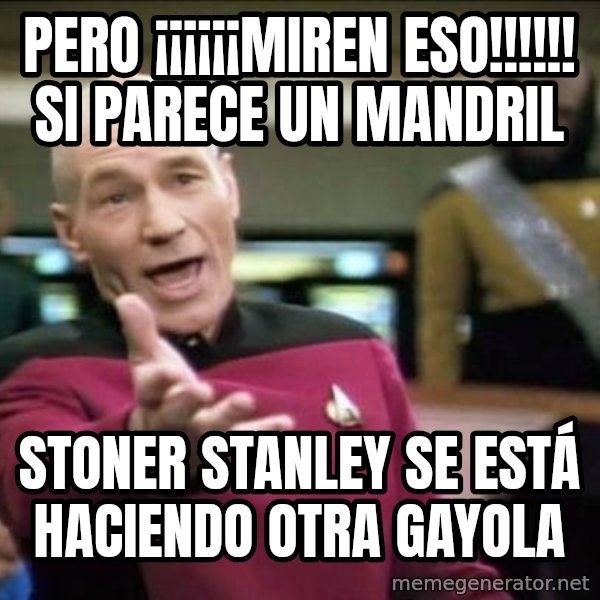 Why the fuck meme: pero ¡¡¡¡¡¡miren eso!!!!!! si parece un mandril / Stoner Stanley se está haciendo otra gayola