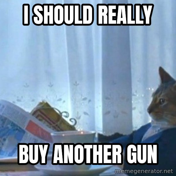 newspaper cat realization meme: I SHOULD REALLY / BUY ANOTHER GUN