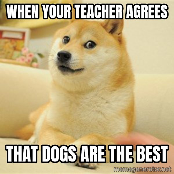 so doge meme: when your teacher agrees / that dogs are the best