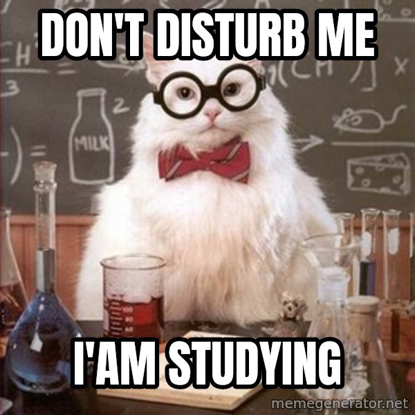 Chemistry Cat meme: DON'T DISTURB ME / I'AM STUDYING