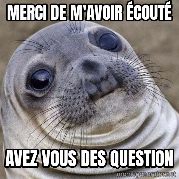 Awkward Seal meme: merci de m'Avoir écouté / avez vous des question