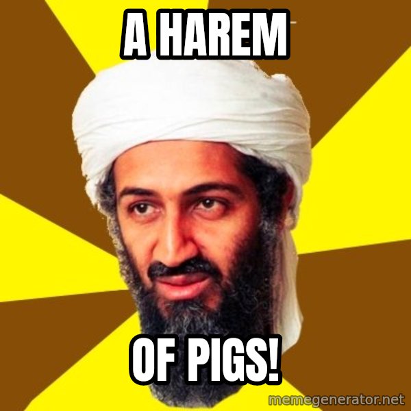 Osama meme: A harem / of pigs!