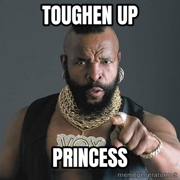 Mr T meme: Toughen up / Princess