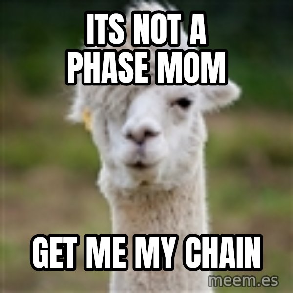 Hipster Llama meme: ITS Not a phase mom / get me my chain