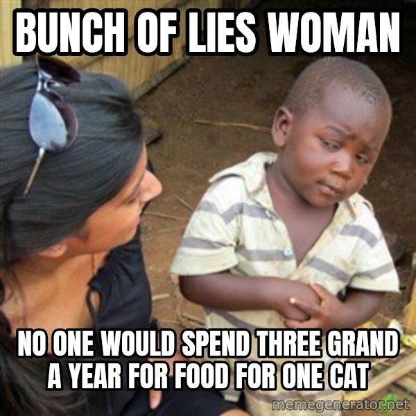 Skeptical 3rd World Kid meme: Bunch of lies woman / no one would spend three grand a year for food for one cat