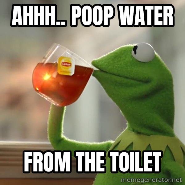Kermit The Frog Drinking Tea meme: ahhh.. poop water / from the toilet