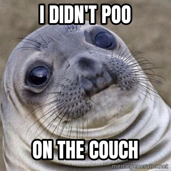 Awkward Seal meme: I didn't poo / on the couch