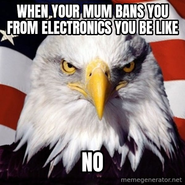 American Pride Eagle meme: when your mum bans you from electronics you be like / no