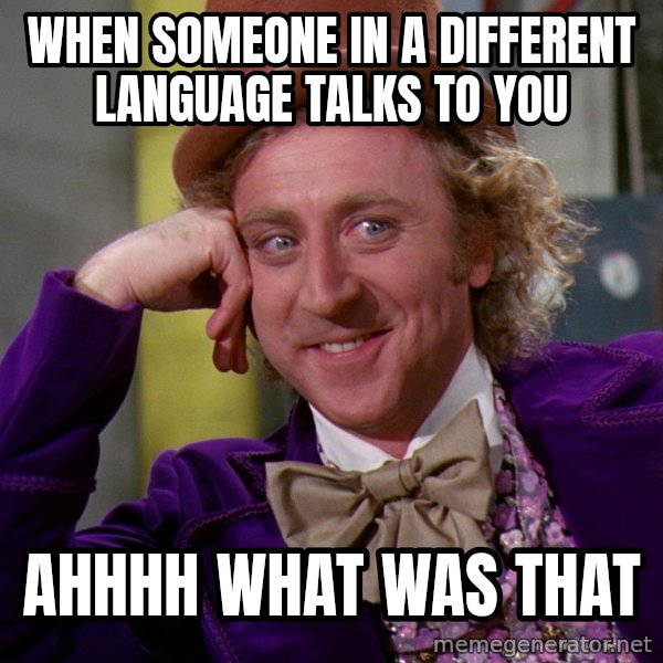 Willy Wonka meme: When someone in a different language talks to you / ahhhh what was that