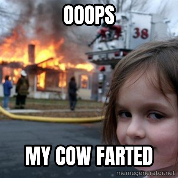 Disaster Girl meme: Ooops / My cow farted