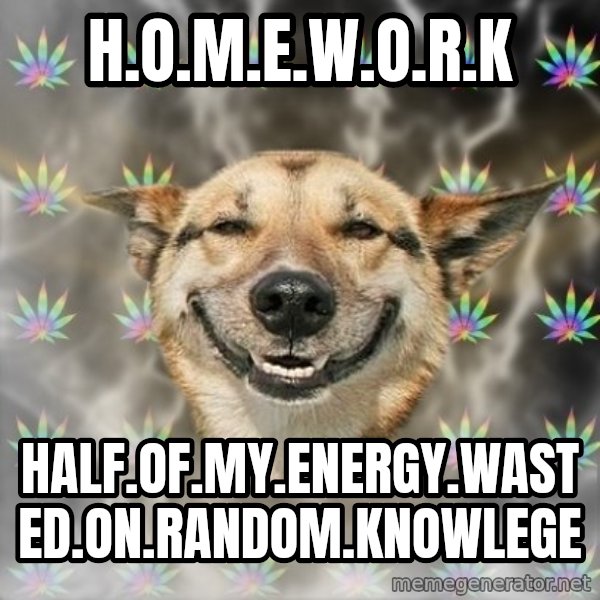 Stoner Dog meme: H.O.M.E.W.O.R.K / Half.of.My.energy.wasted.on.random.knowlege