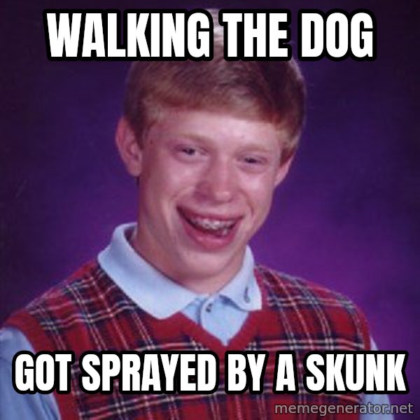 Bad Luck Brian meme: walking the dog / got sprayed by a skunk