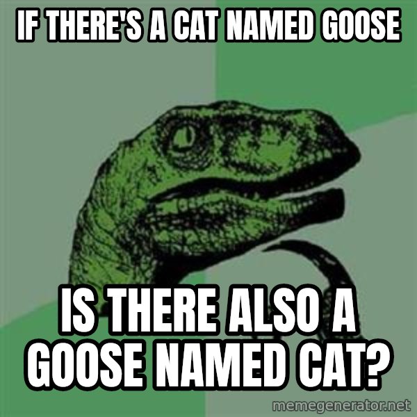 Philosoraptor meme: If there's a cat named Goose / is there also a goose named Cat?