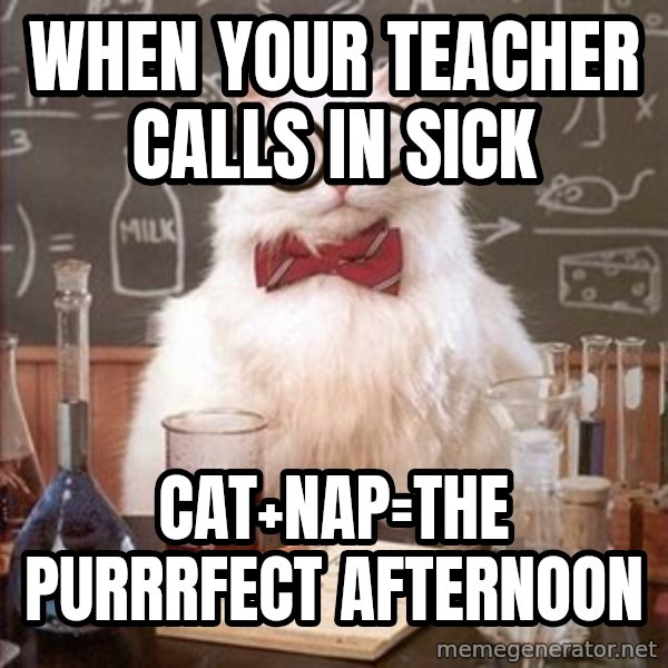 Chemistry Cat meme: when your teacher calls in sick / cat+Nap=the purrrfect afternoon