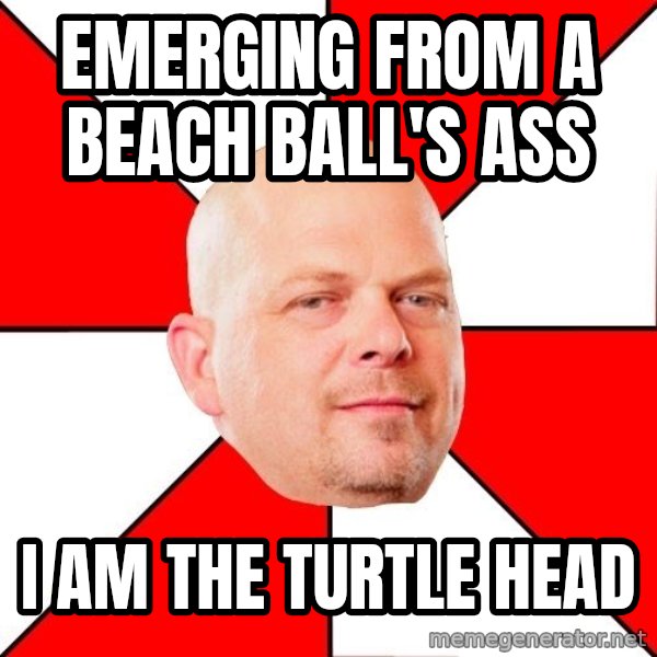 Pawn Stars meme: emerging from a beach ball's ass / i am the turtle head