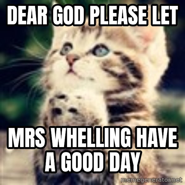Praying Kitten meme: dear god please let / mrs whelling have a good day
