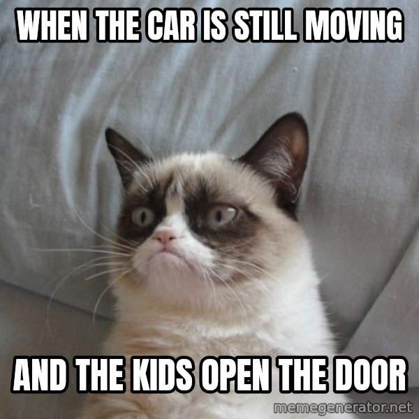 Grumpy cat good meme: When The Car Is Still Moving / And The Kids Open The Door