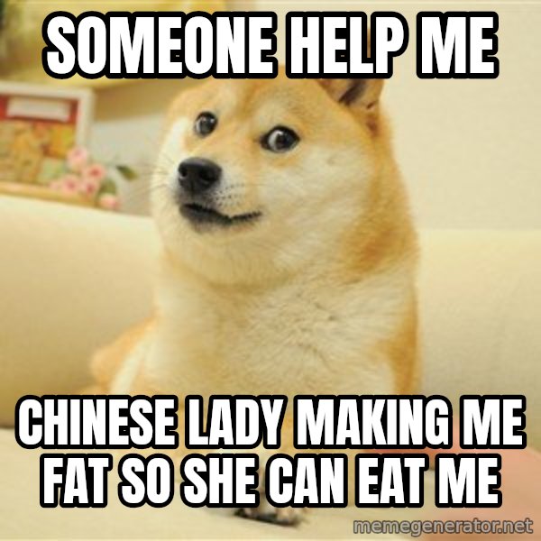 so doge meme: someone help me / chinese lady making me fat so she can eat me