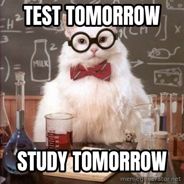 Chemistry Cat meme: test tomorrow / study tomorrow