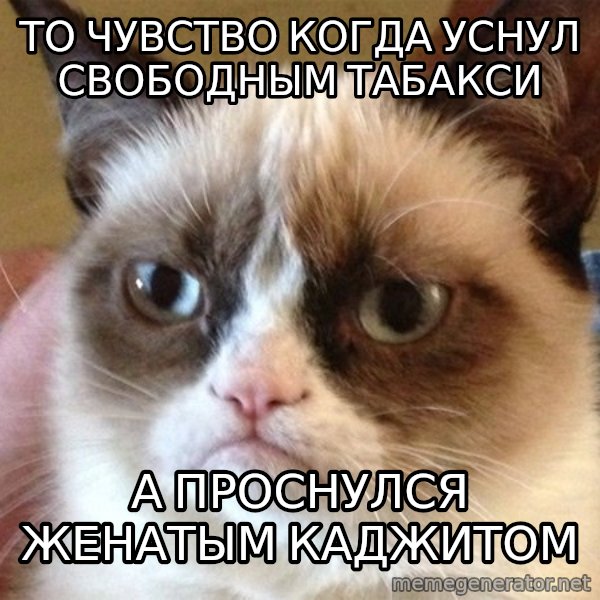 Angry Cat Meme meme: То чувство когда уснул свободным табакси / а проснулся женатым каджитом