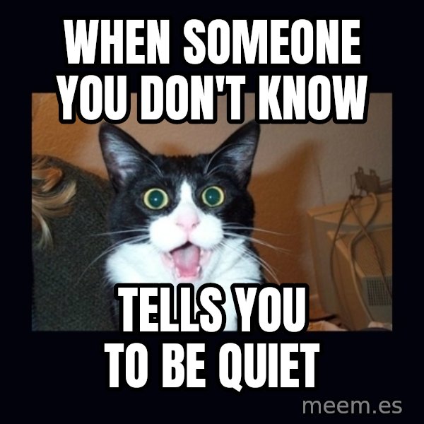 shocked cat meme: When someone you don't know / tells you to be quiet