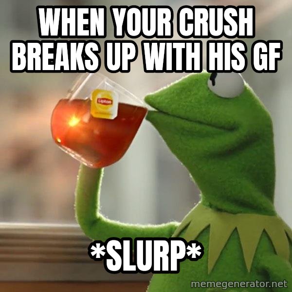 Kermit The Frog Drinking Tea meme: when your crush breaks up with his gf / *SlUrp*