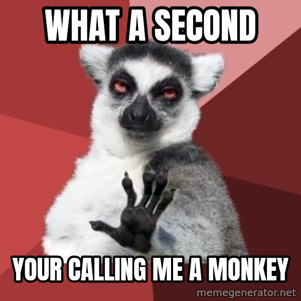 mindenki nyugodjon le a picsába meme: what a second / your calling me a monkey