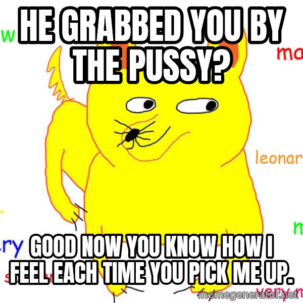 Grumpy Cat  meme: he grabbed you by the pussy? / good now you know how i feel each time you pick me up.