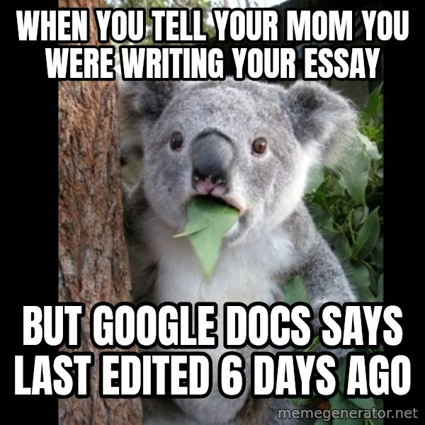 Koala can't believe it meme: when you tell your mom you were writing your essay / but google docs says last edited 6 days ago
