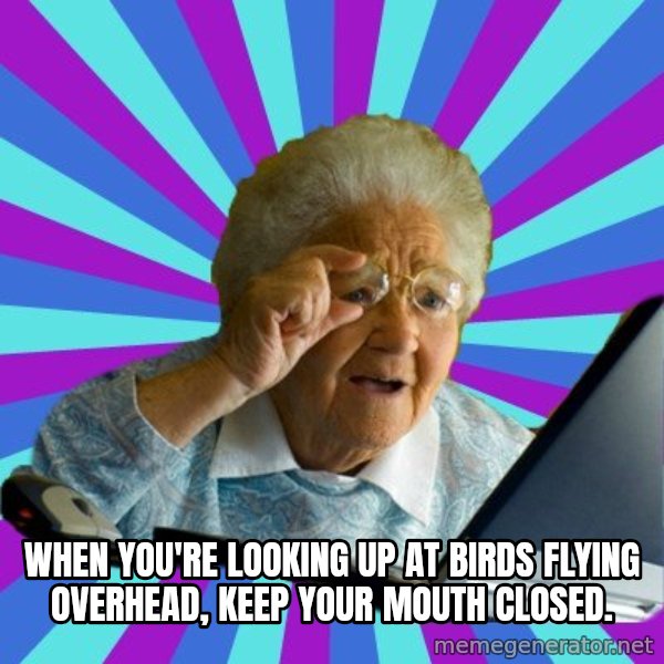 old lady meme: When you're looking up at birds flying overhead, keep your mouth closed.