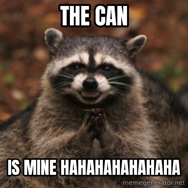 evil raccoon meme: the can / is mine hahahahahahaha