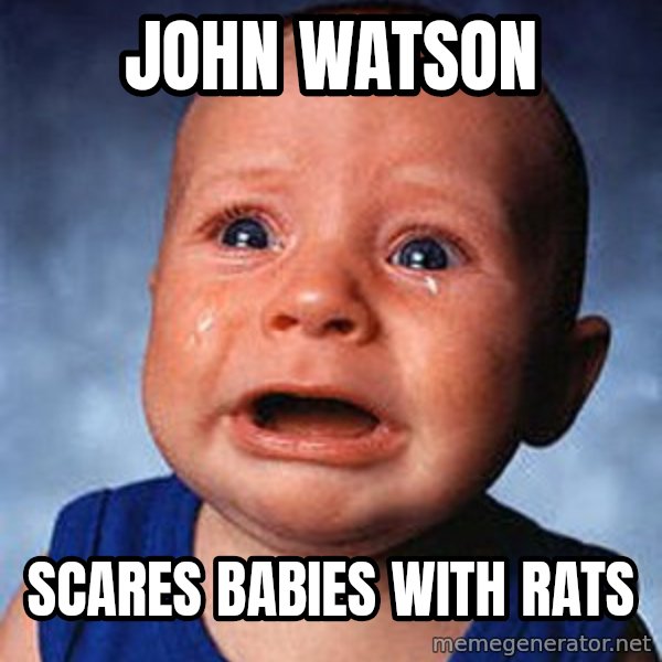 Crying Baby meme: John Watson / scares babies with rats