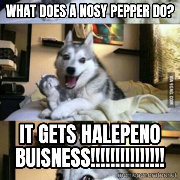 Funny Husky meme: what does a nosy pepper do? / it gets halepeno buisness!!!!!!!!!!!!!!!