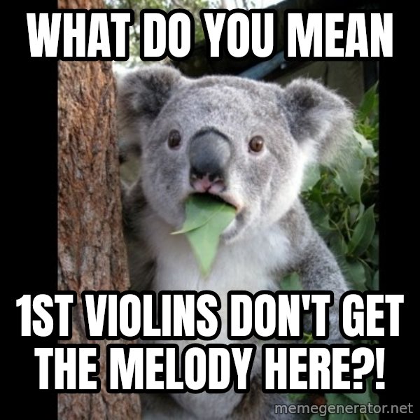 Koala can't believe it meme: What do you mean / 1st violins don't get the melody here?!