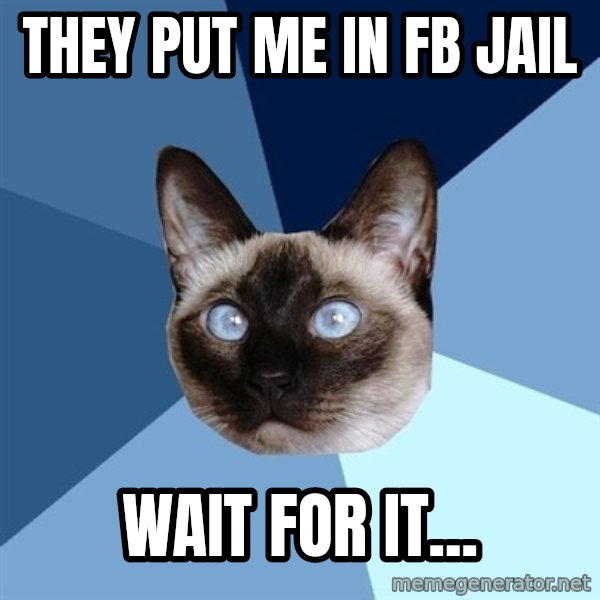 Chronic Illness Cat meme: They put me in FB Jail / Wait for it...