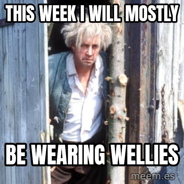 Jesse Fast Show meme: This week I will mostly / Be wearing wellies