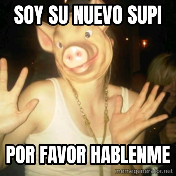 Pig Chloe meme: Soy su nuevo supi / Por favor hablenme