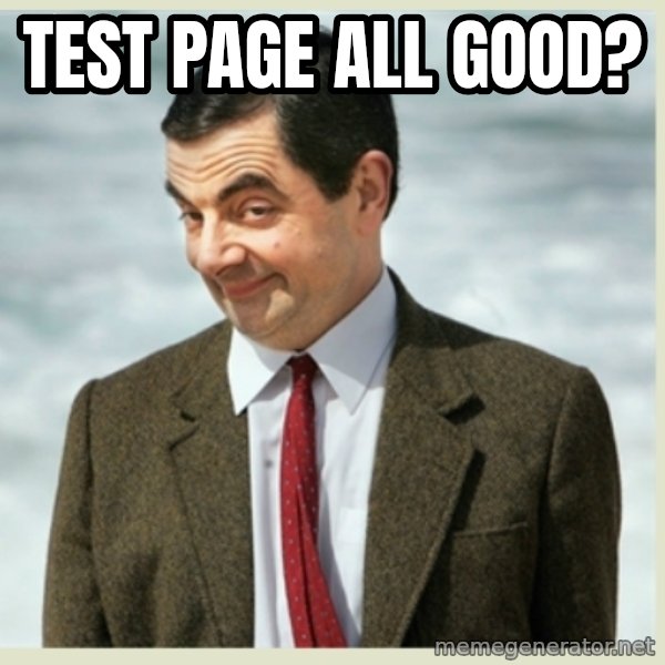 MR bean meme: Test page all good?
