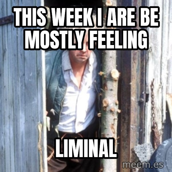 Jesse Fast Show meme: This week I are be mostly feeling / Liminal