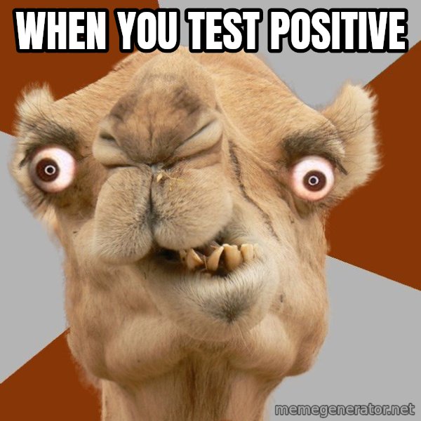Crazy Camel lol meme: When you test positive