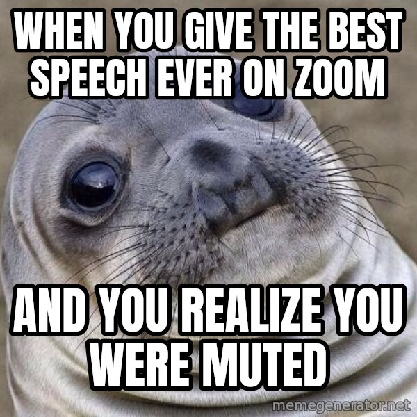 Awkward Seal meme: When you give the best speech ever on Zoom / and you realize you were muted